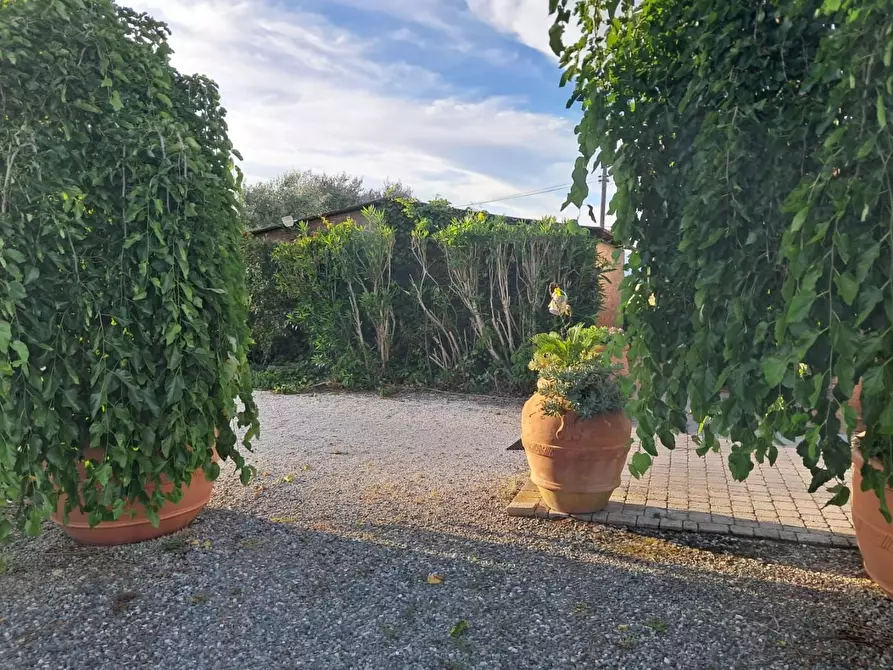 Immagine 17 di Bar / Ristorante in vendita  a Pisa