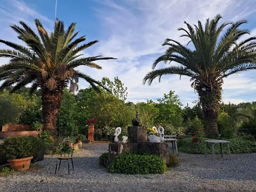 Immagine 14 di Bar / Ristorante in vendita  a Pisa