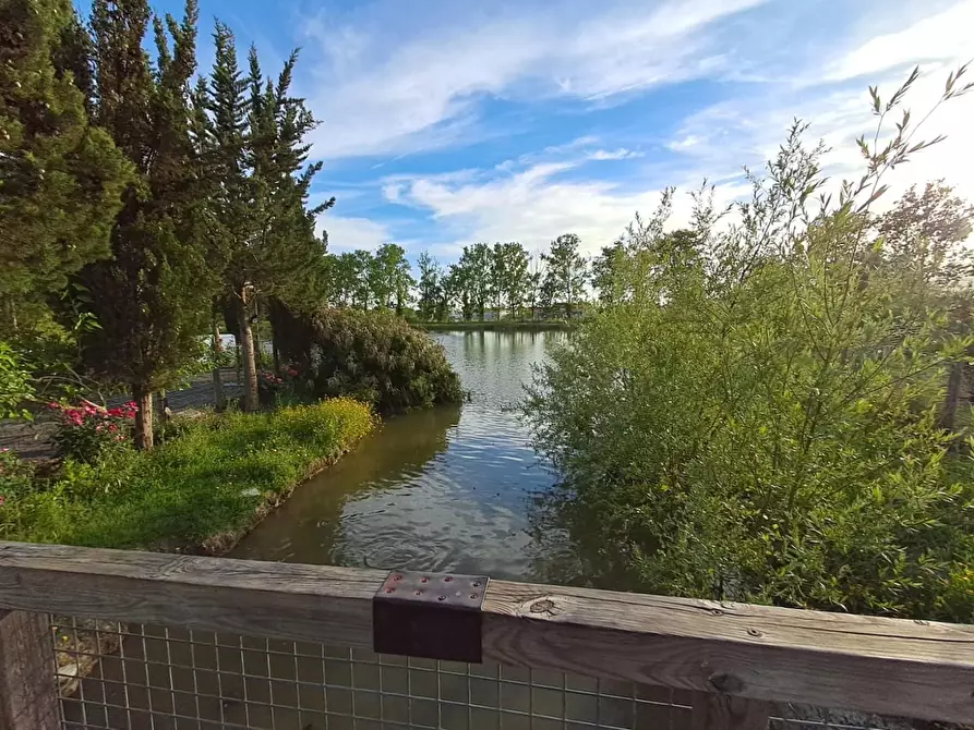 Immagine 8 di Bar / Ristorante in vendita  a Pisa