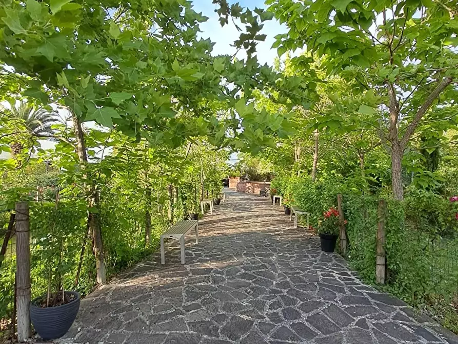 Immagine 34 di Bar / Ristorante in vendita  a Pisa