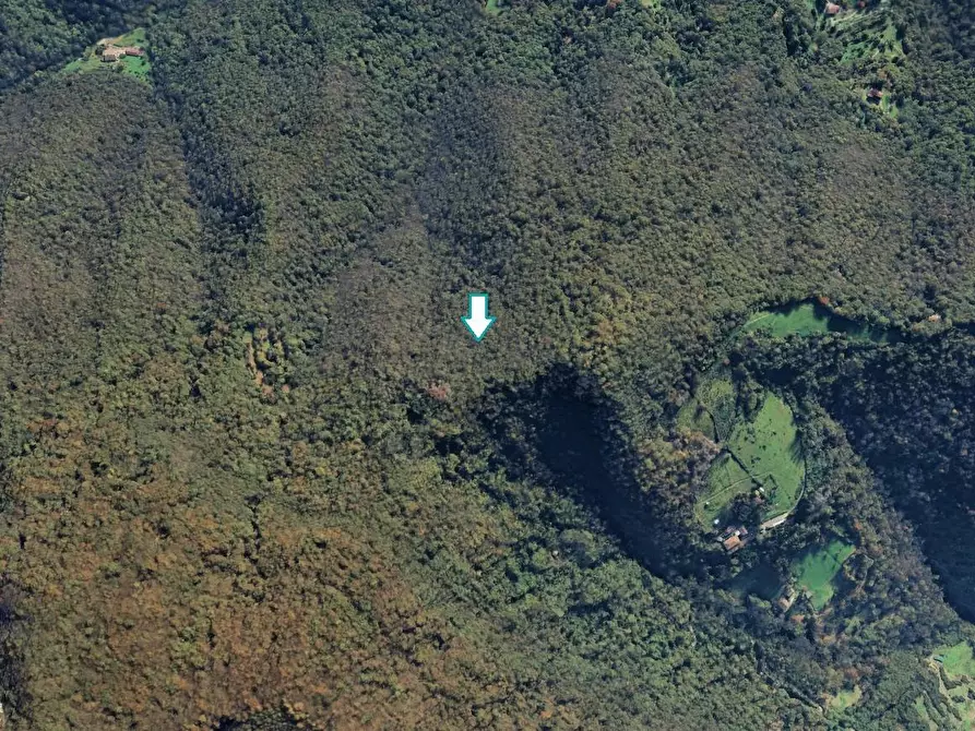 Immagine 1 di Terreno agricolo in vendita  a Pradalunga