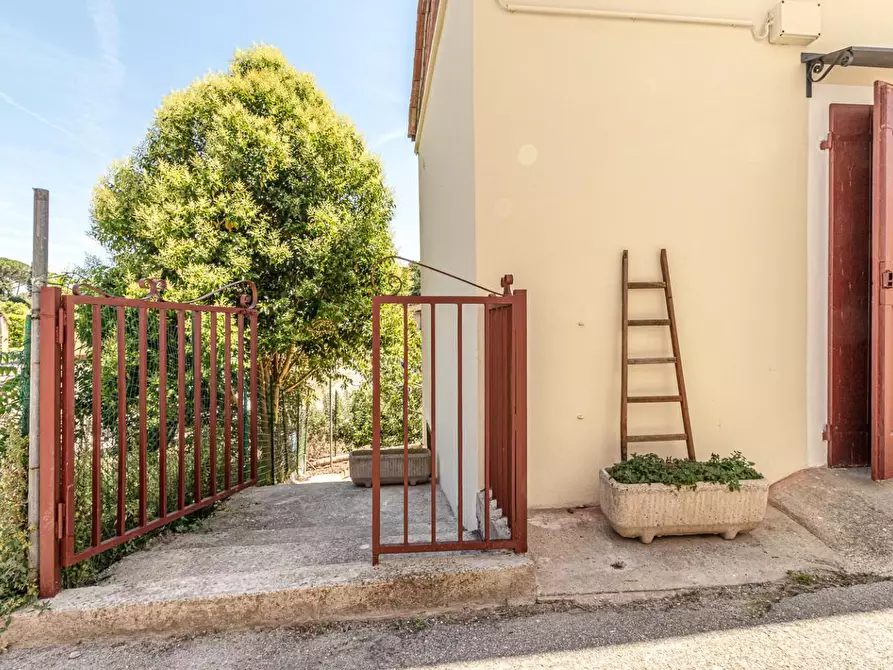 Immagine 66 di Terratetto in vendita  a San Miniato