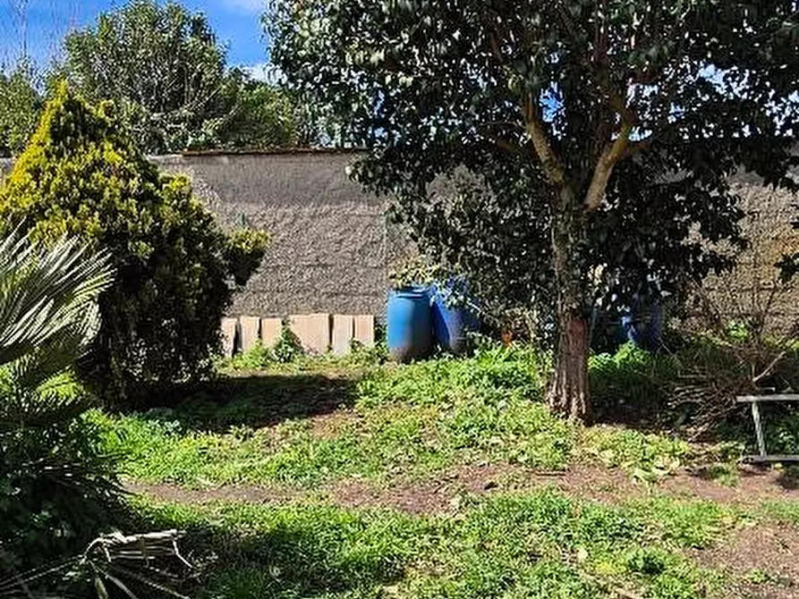 Immagine 3 di Terratetto in vendita  a Cascina