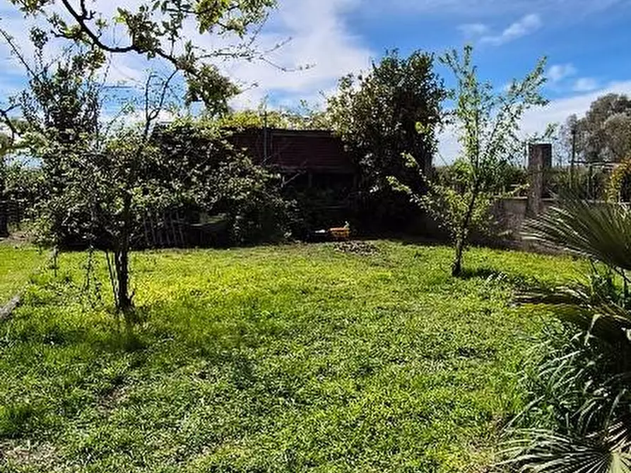 Immagine 2 di Terratetto in vendita  a Cascina
