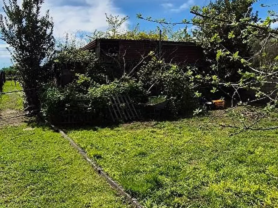 Immagine 5 di Terratetto in vendita  a Cascina