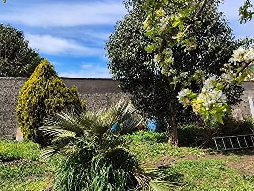 Immagine 4 di Terratetto in vendita  a Cascina