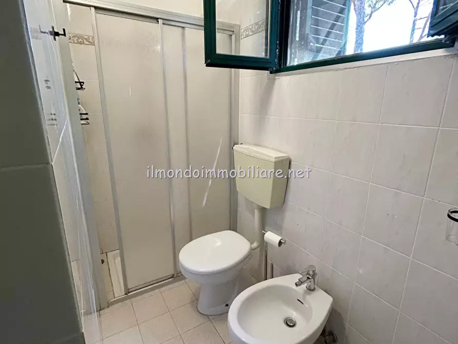 Immagine 11 di Appartamento in affitto  a Cecina