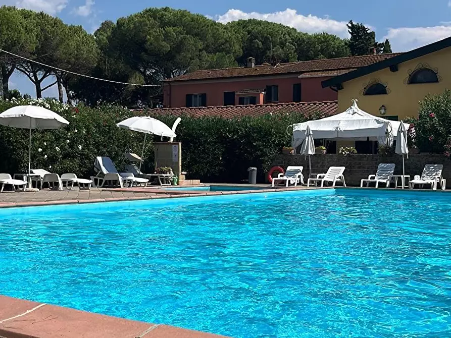 Immagine 2 di Appartamento in affitto  a Cecina