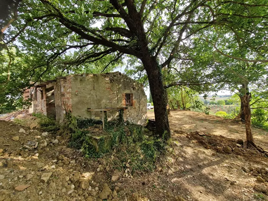 Immagine 8 di Rustico / casale in vendita  a Poggibonsi