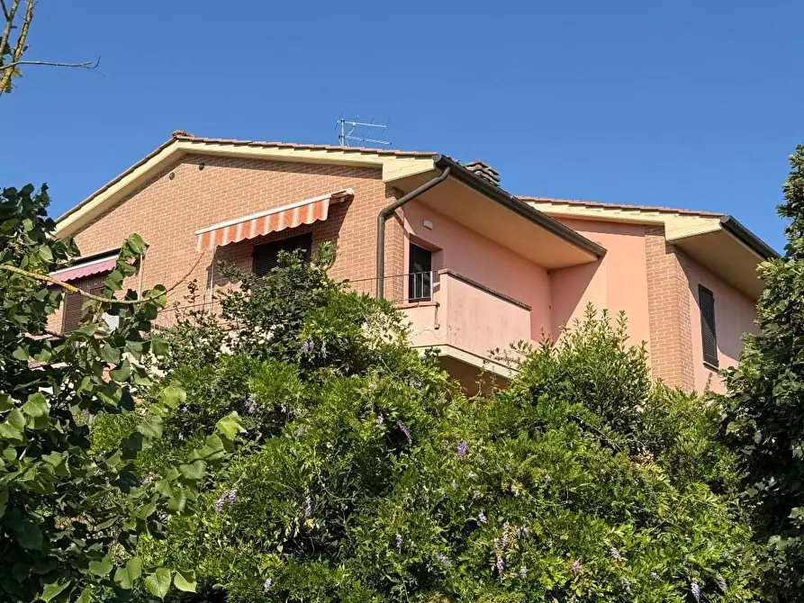Immagine 3 di Appartamento in vendita  a Calcinaia