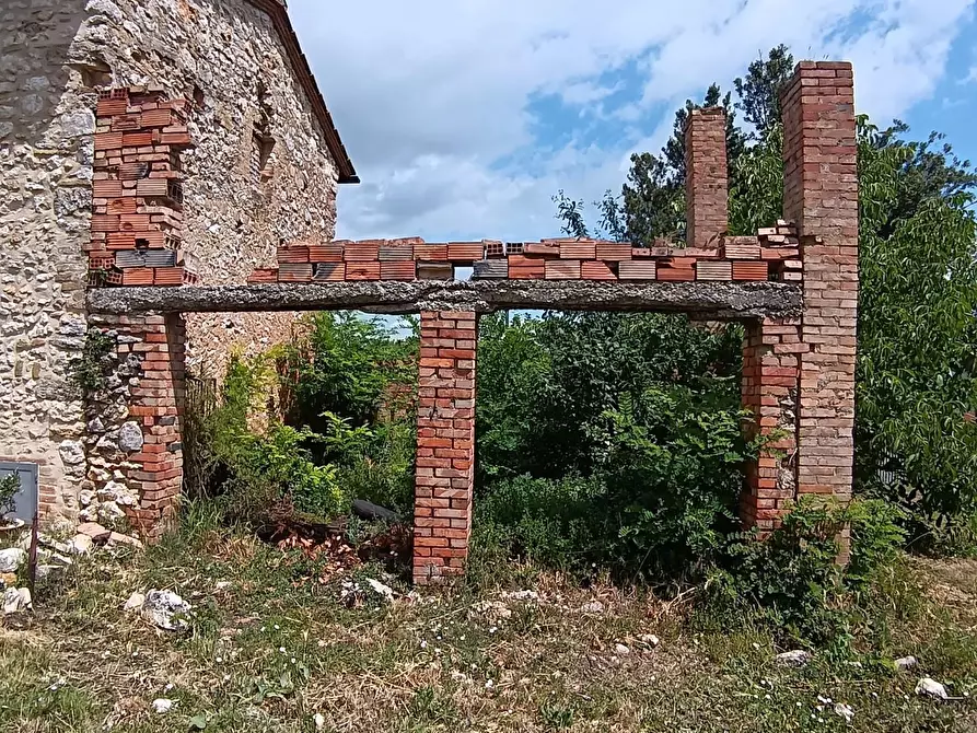 Immagine 9 di Rustico / casale in vendita  a San Gimignano