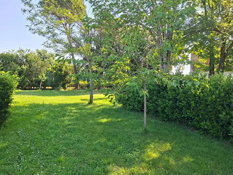 Immagine 8 di Terratetto in vendita  a Pontedera