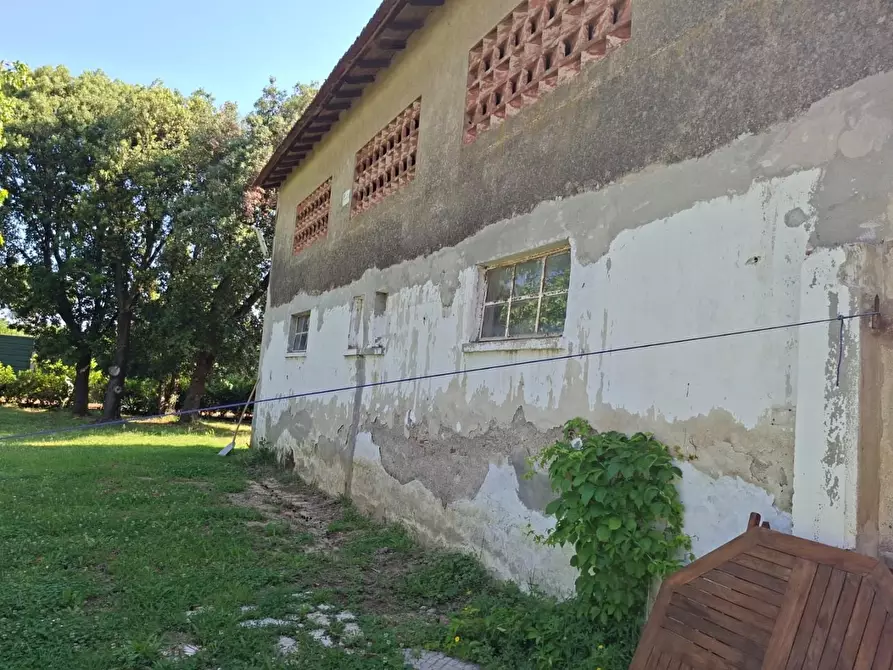 Immagine 2 di Terratetto in vendita  a Pontedera