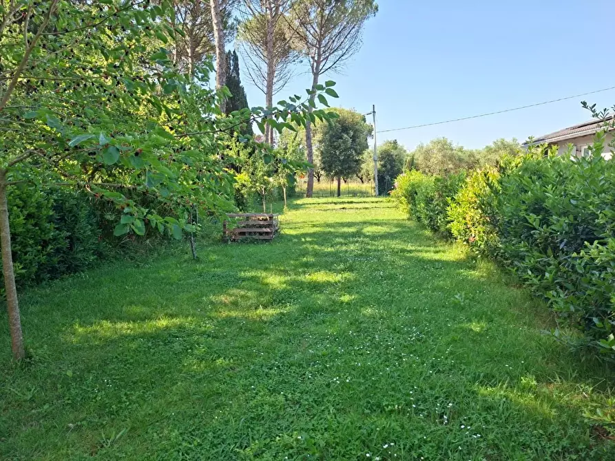 Immagine 1 di Terratetto in vendita  a Pontedera