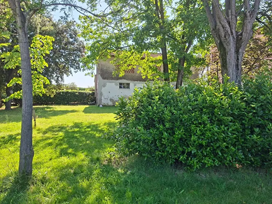 Immagine 14 di Terratetto in vendita  a Pontedera