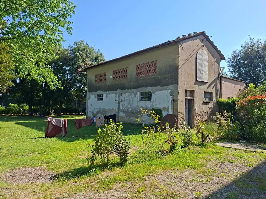 Immagine 7 di Terratetto in vendita  a Pontedera