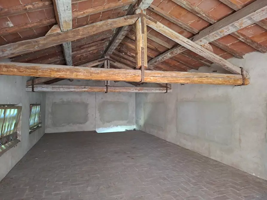 Immagine 9 di Terratetto in vendita  a Pontedera