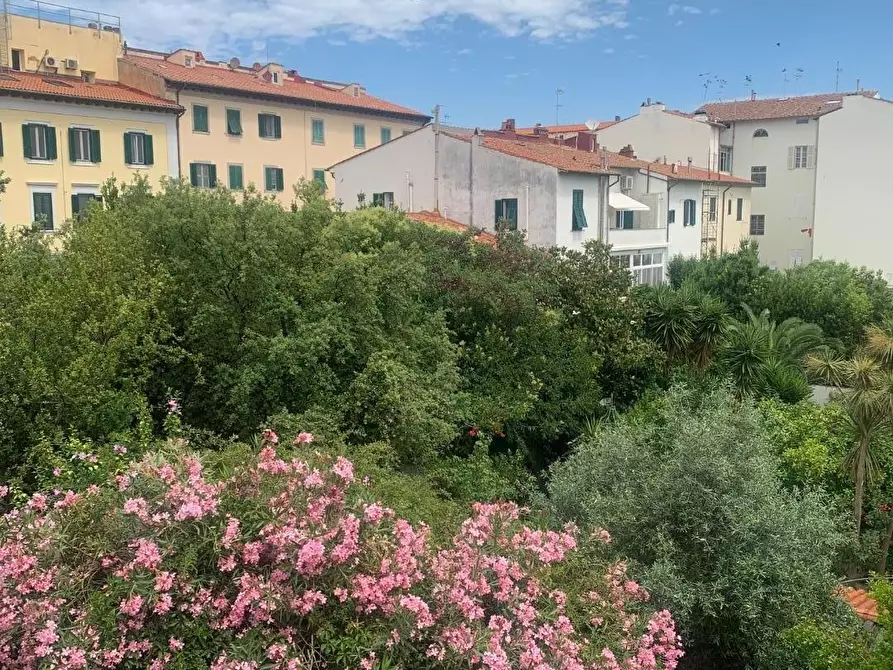 Immagine 12 di Appartamento in vendita  a Livorno