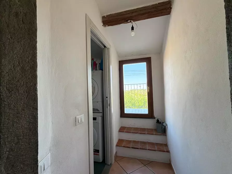 Immagine 22 di Terratetto in vendita  a Casciana Terme Lari