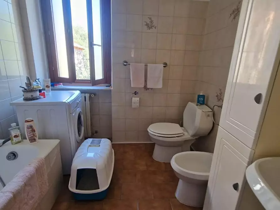 Immagine 10 di Appartamento in vendita  a Carrara