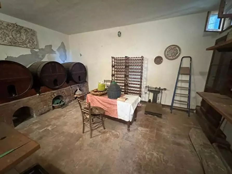Immagine 6 di Terratetto in vendita  a Calci