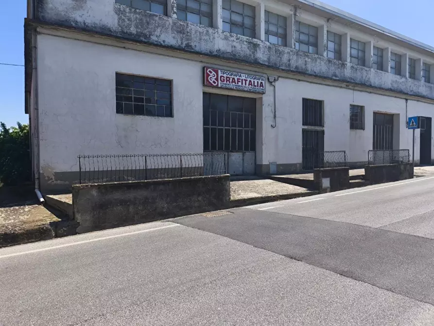 Immagine 11 di Attività artigianale in vendita  a Peccioli