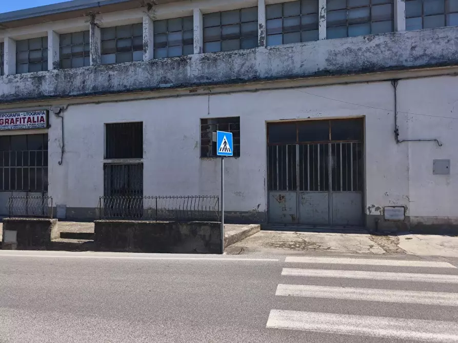 Immagine 10 di Attività artigianale in vendita  a Peccioli