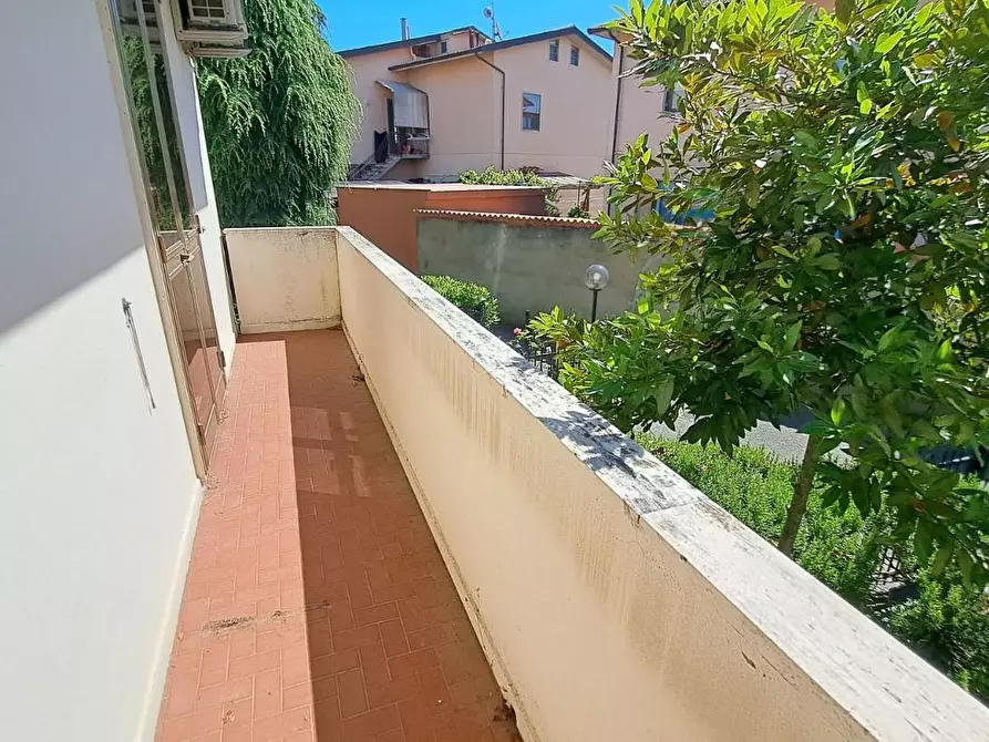 Immagine 11 di Appartamento in vendita  a Rosignano Marittimo