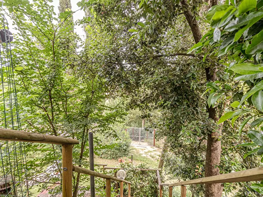 Immagine 7 di Terratetto in vendita  a San Miniato
