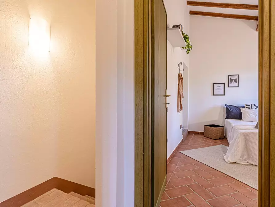 Immagine 66 di Terratetto in vendita  a San Miniato