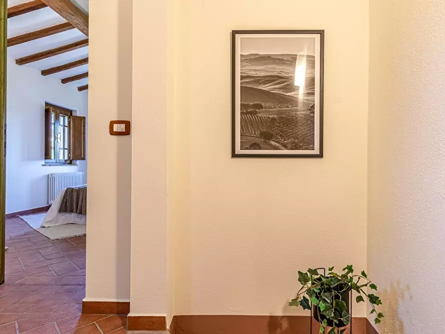 Immagine 44 di Terratetto in vendita  a San Miniato