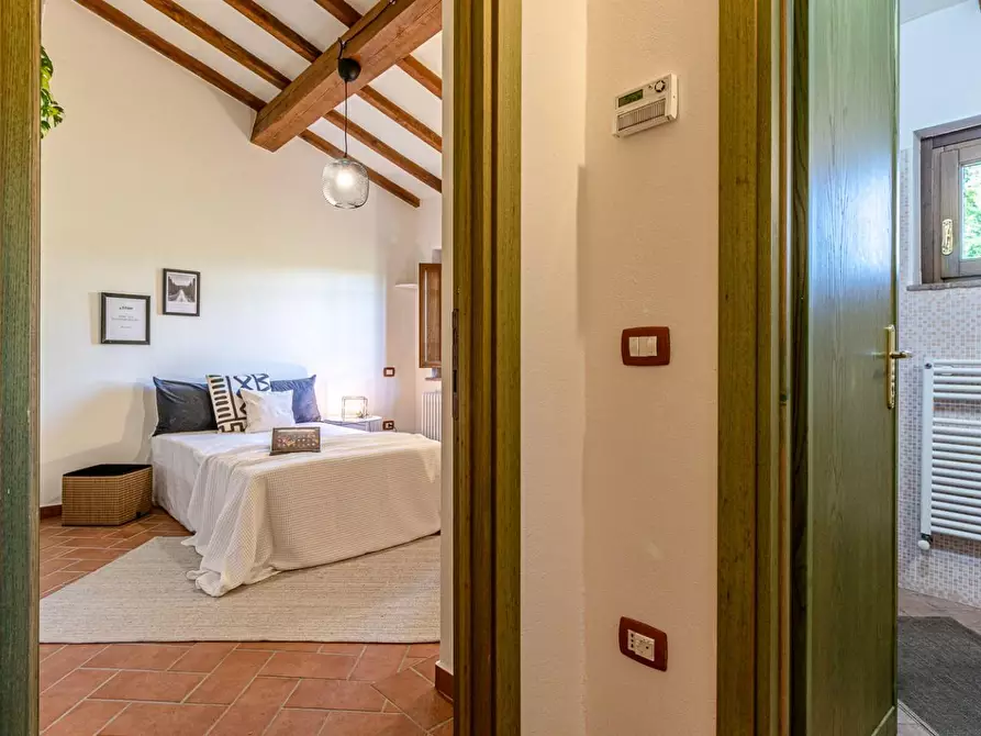 Immagine 55 di Terratetto in vendita  a San Miniato