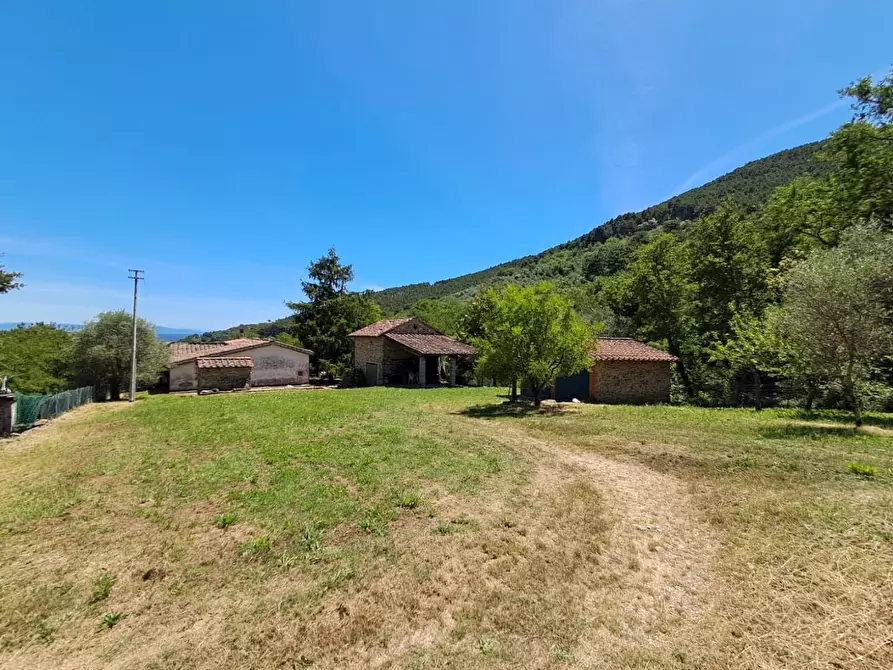 Immagine 76 di Rustico / casale in vendita  a Buti