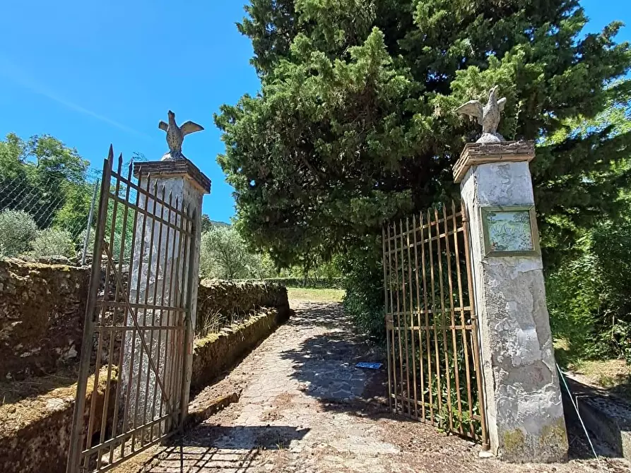 Immagine 78 di Rustico / casale in vendita  a Buti