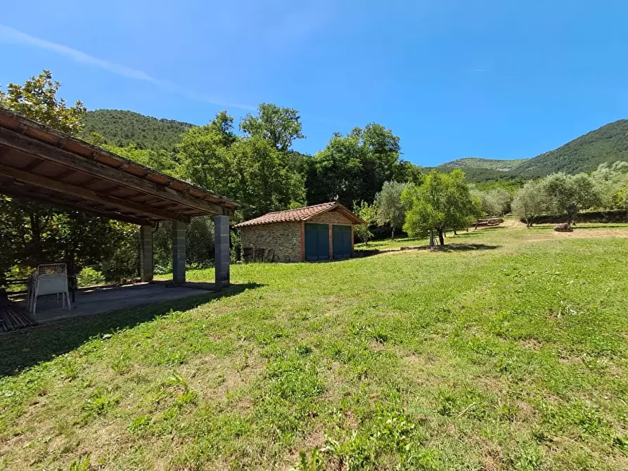 Immagine 12 di Rustico / casale in vendita  a Buti