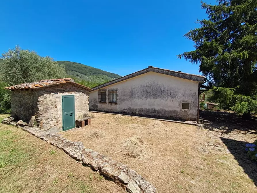 Immagine 7 di Rustico / casale in vendita  a Buti