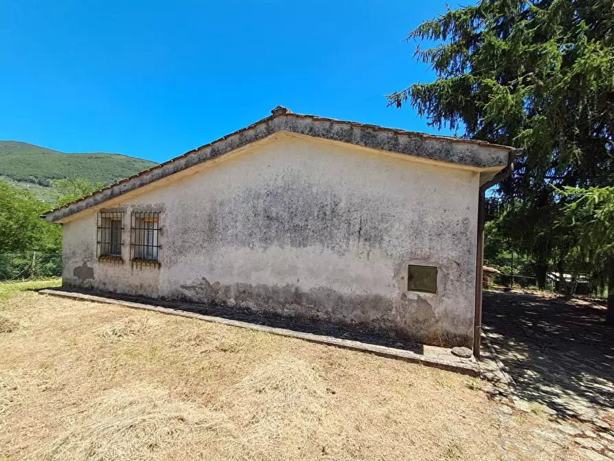 Immagine 5 di Rustico / casale in vendita  a Buti