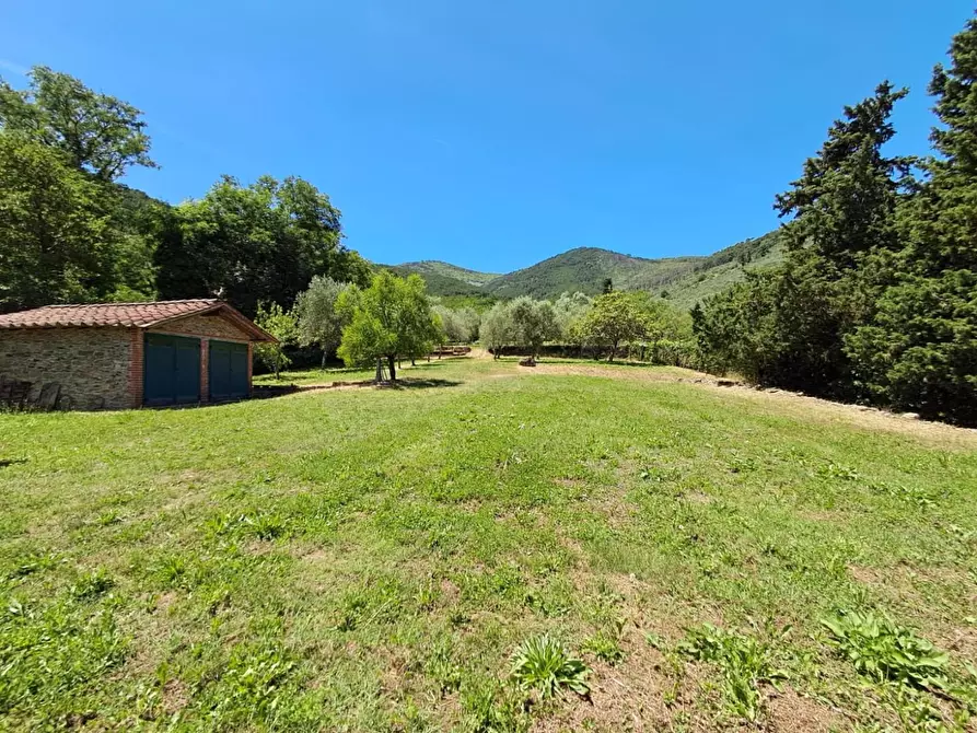 Immagine 17 di Rustico / casale in vendita  a Buti