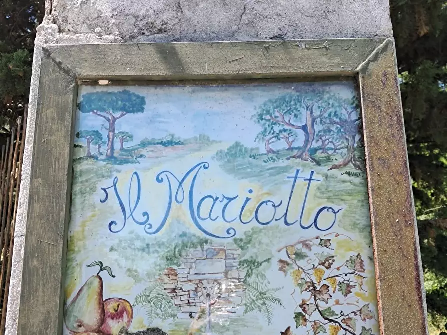 Immagine 79 di Rustico / casale in vendita  a Buti