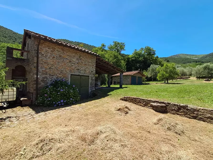 Immagine 11 di Rustico / casale in vendita  a Buti