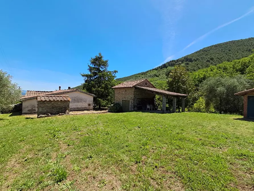 Immagine 2 di Rustico / casale in vendita  a Buti