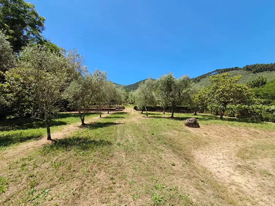 Immagine 18 di Rustico / casale in vendita  a Buti