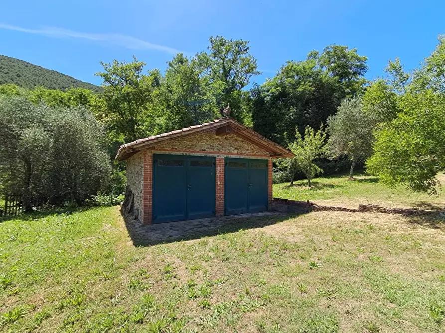 Immagine 51 di Rustico / casale in vendita  a Buti
