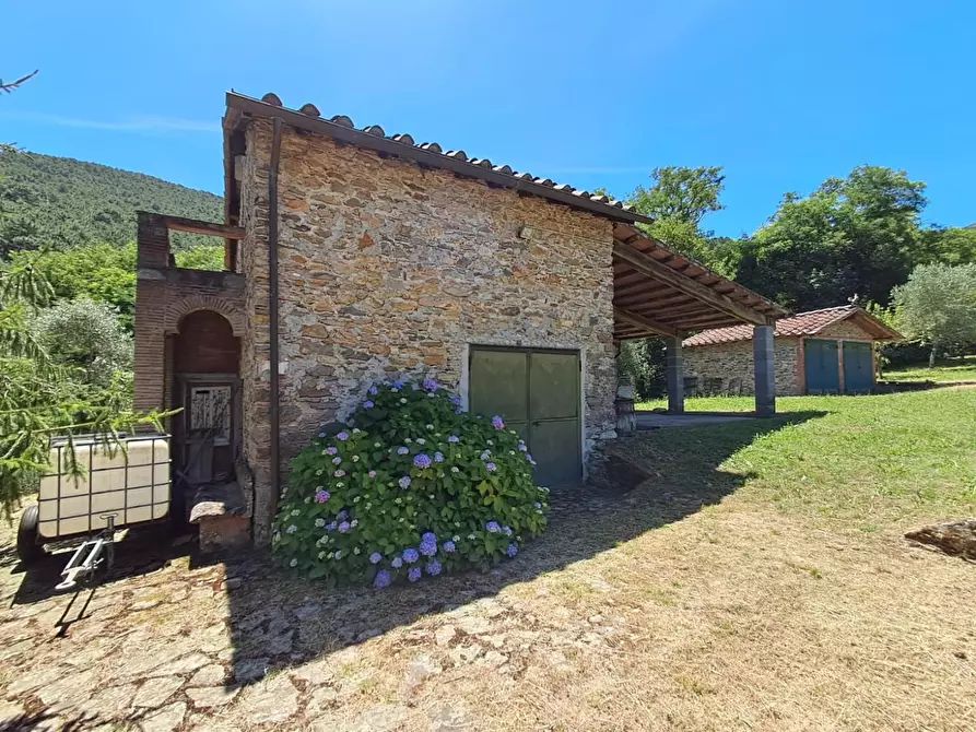 Immagine 8 di Rustico / casale in vendita  a Buti