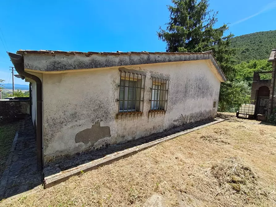 Immagine 6 di Rustico / casale in vendita  a Buti