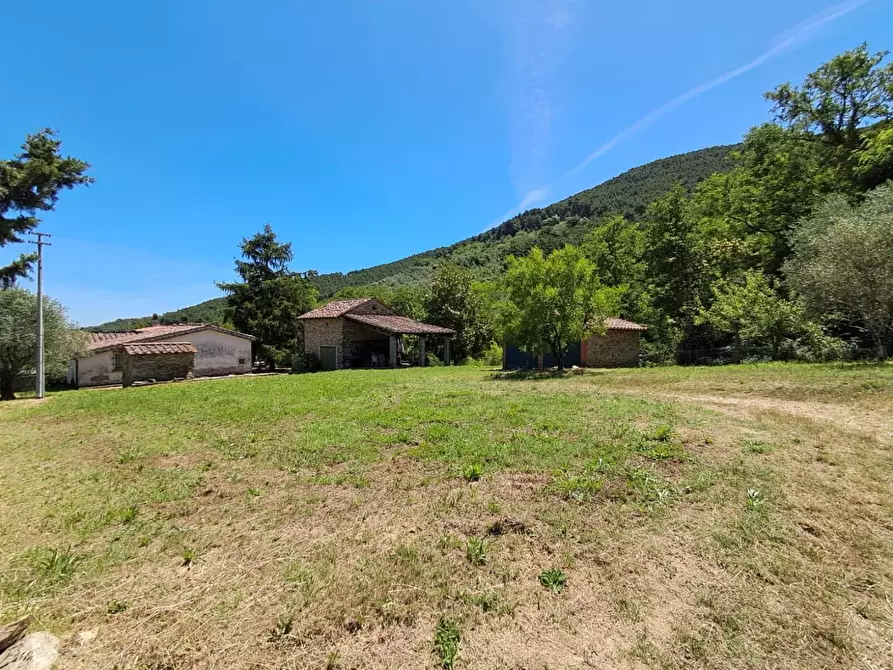 Immagine 3 di Rustico / casale in vendita  a Buti