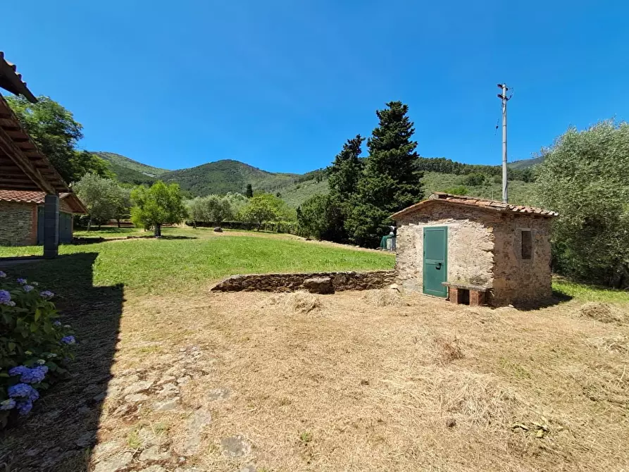 Immagine 16 di Rustico / casale in vendita  a Buti