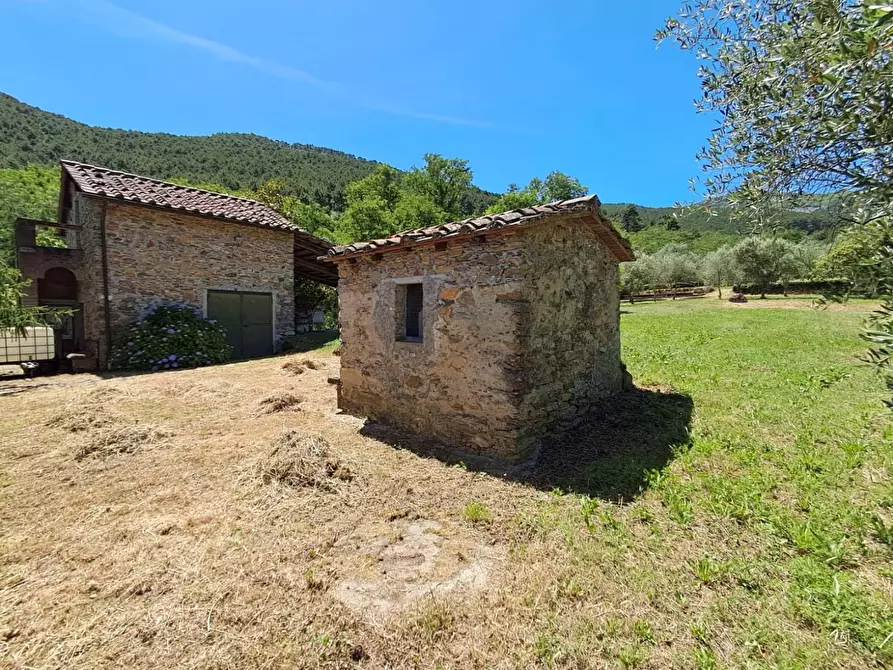 Immagine 14 di Rustico / casale in vendita  a Buti