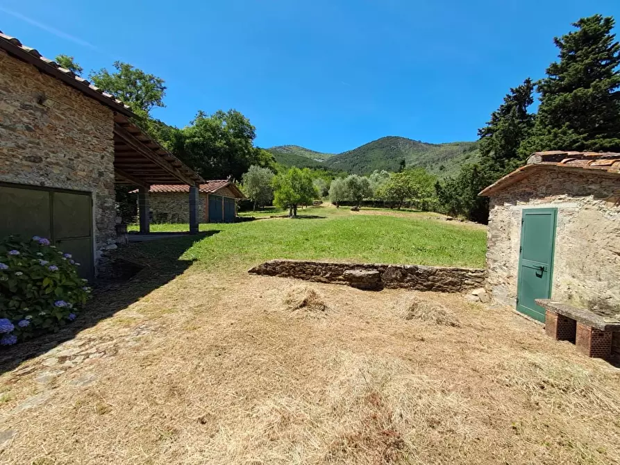 Immagine 9 di Rustico / casale in vendita  a Buti