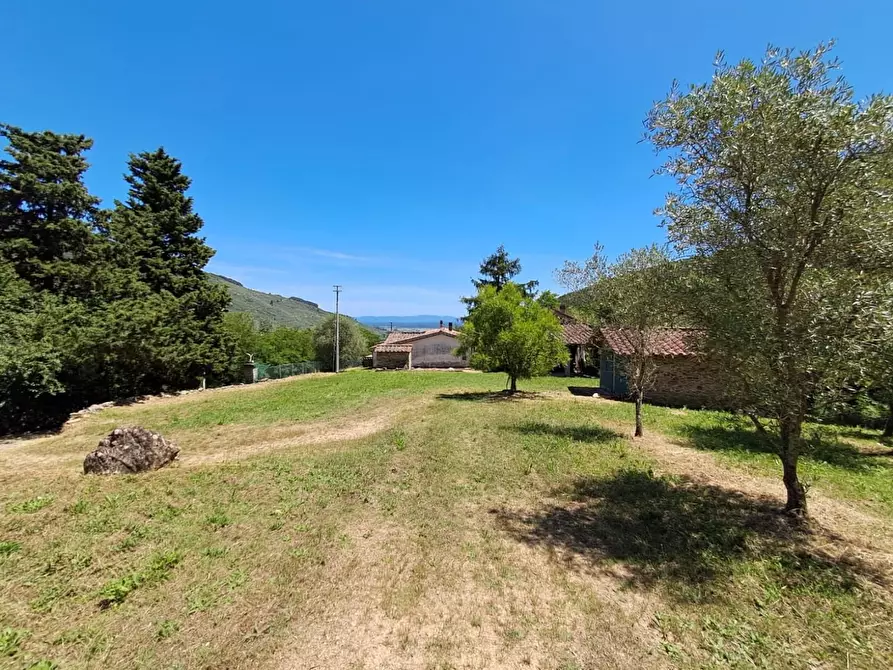 Immagine 21 di Rustico / casale in vendita  a Buti